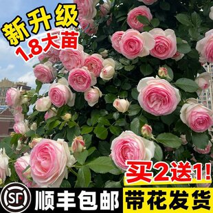 �Nޱ�����ٱ��¼������ļ��_����������ͥԺ�ͺ��Ϙ��ش�̖������