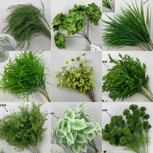 ��c��ˇ�Gɫ���Ę��~ֲ���Pβ�~�ȼ�����Y�����[�ľGֲ����