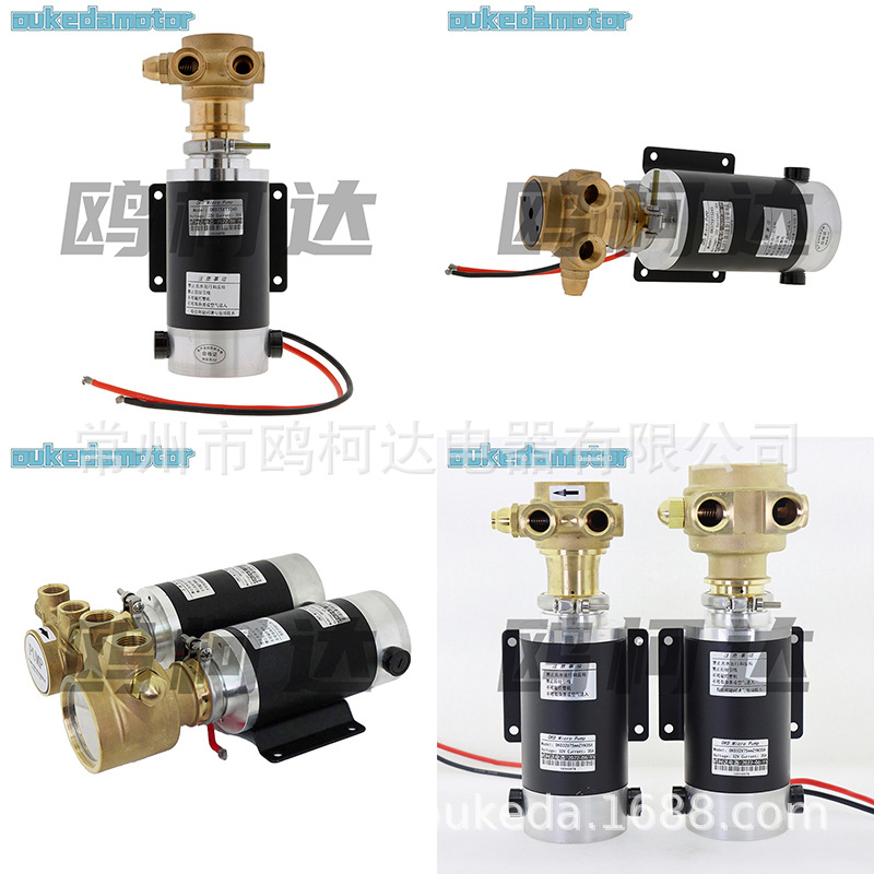 不锈钢叶片泵VPE-05 高压力园林雾化泵 小体积高压清洗机喷射水泵