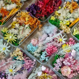 鲜花花艺制品;其他汽车内饰;干花