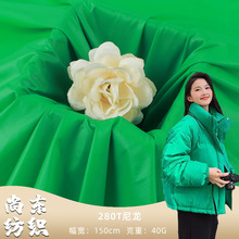 280T尼丝纺油光布 防水羽绒服棉服面料 秋冬热销款亮面面料