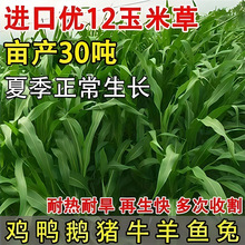 īײݷNMڸߵKuZţ~ݷNļ߮a