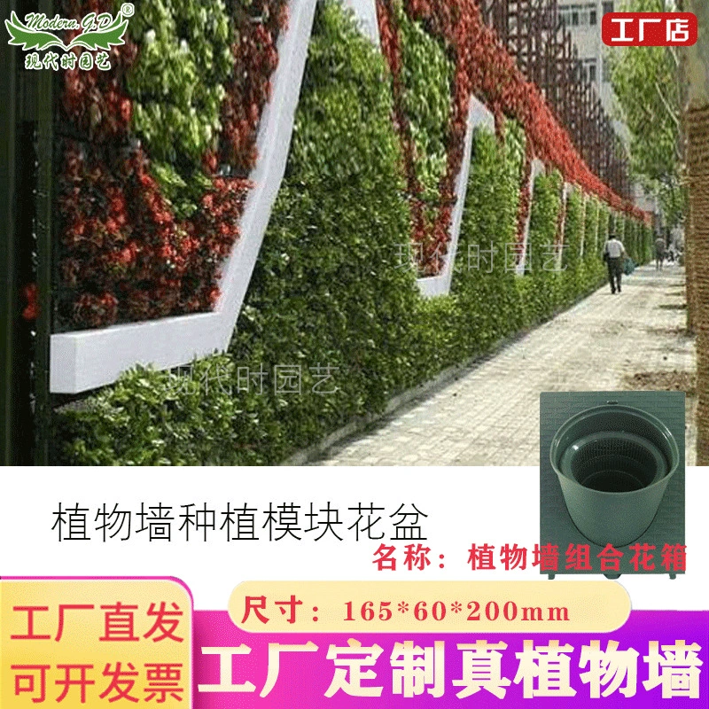 Новый список растений настенный цветочный горшок Настенный Цветок Овощной пластиковый настенный экологический настенный простой настоящий цветок зеленое растение украшение