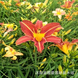 ���l����� �̨ͥԺ�Nֲ�^���Gֲ�@·����ֲ�� ��ݻ��ܮa��