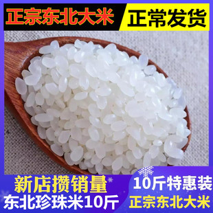 ��2024�����ס��|������10������������С��׈A���׾���10����]