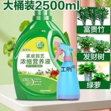 �I�BҺֲ��ͨ���ͻ������԰lؔ��G�}���F��ˮ�໨�ܾGֲ��������