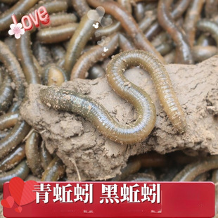 ������l������������򾴹��~�D������������S�X����