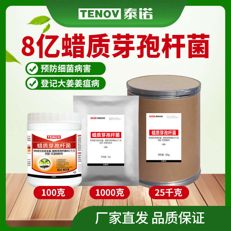 芽孢杆菌大姜瘟病柑橘杀菌剂细菌性角斑病防治抑菌生物农药抗菌