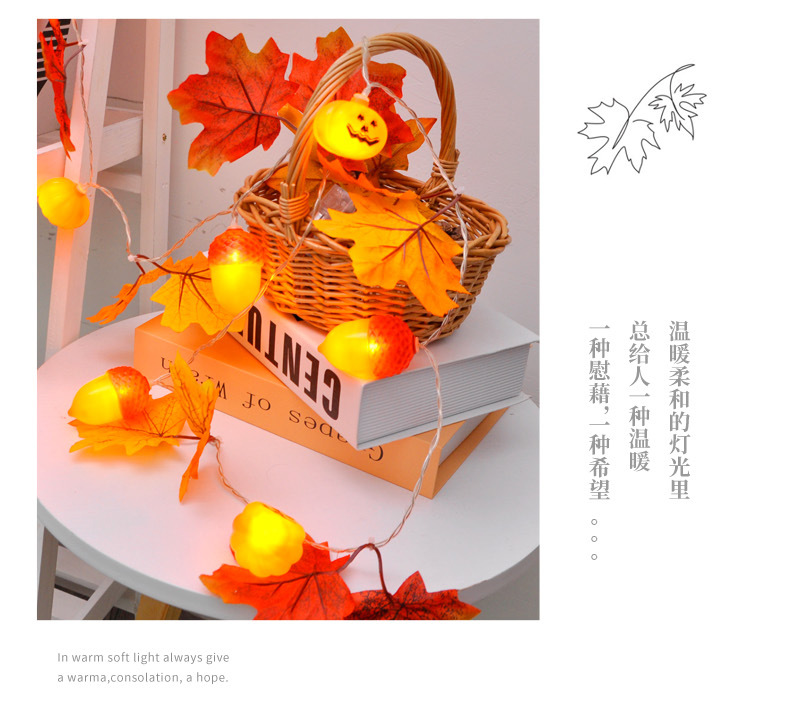 枫叶灯串祥情_10.jpg
