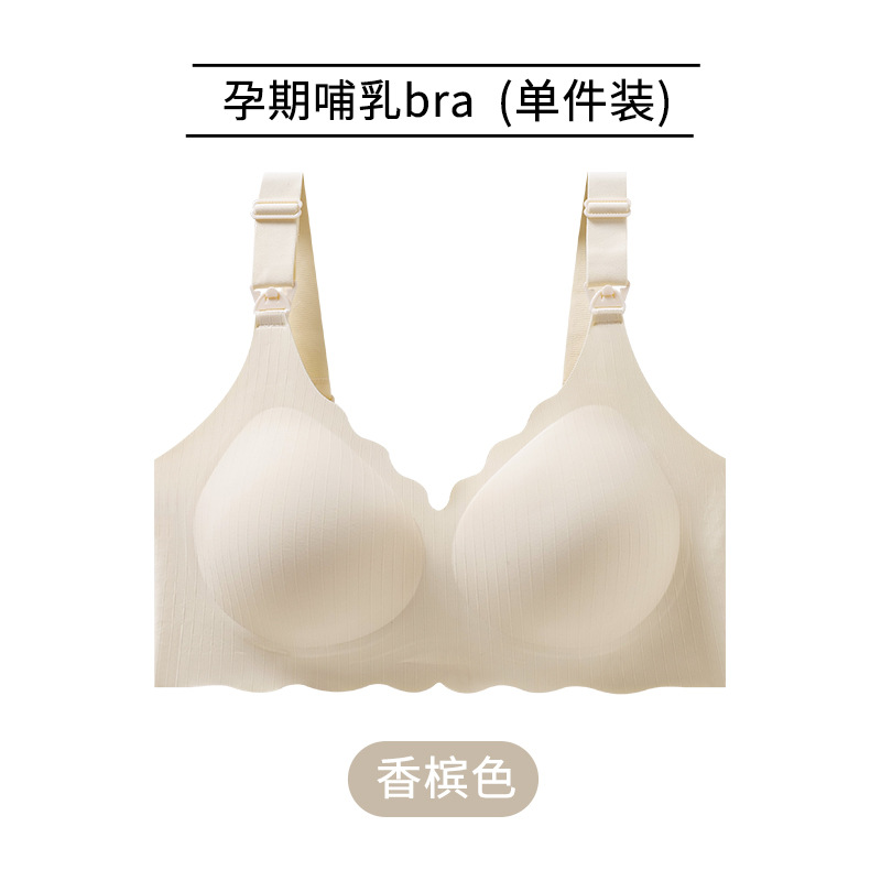 샴페인