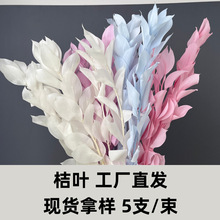 �ɻ��M�ڽ��~�滨�ɻ�����DIY��cdiy�ֹ�������Ϲ��S