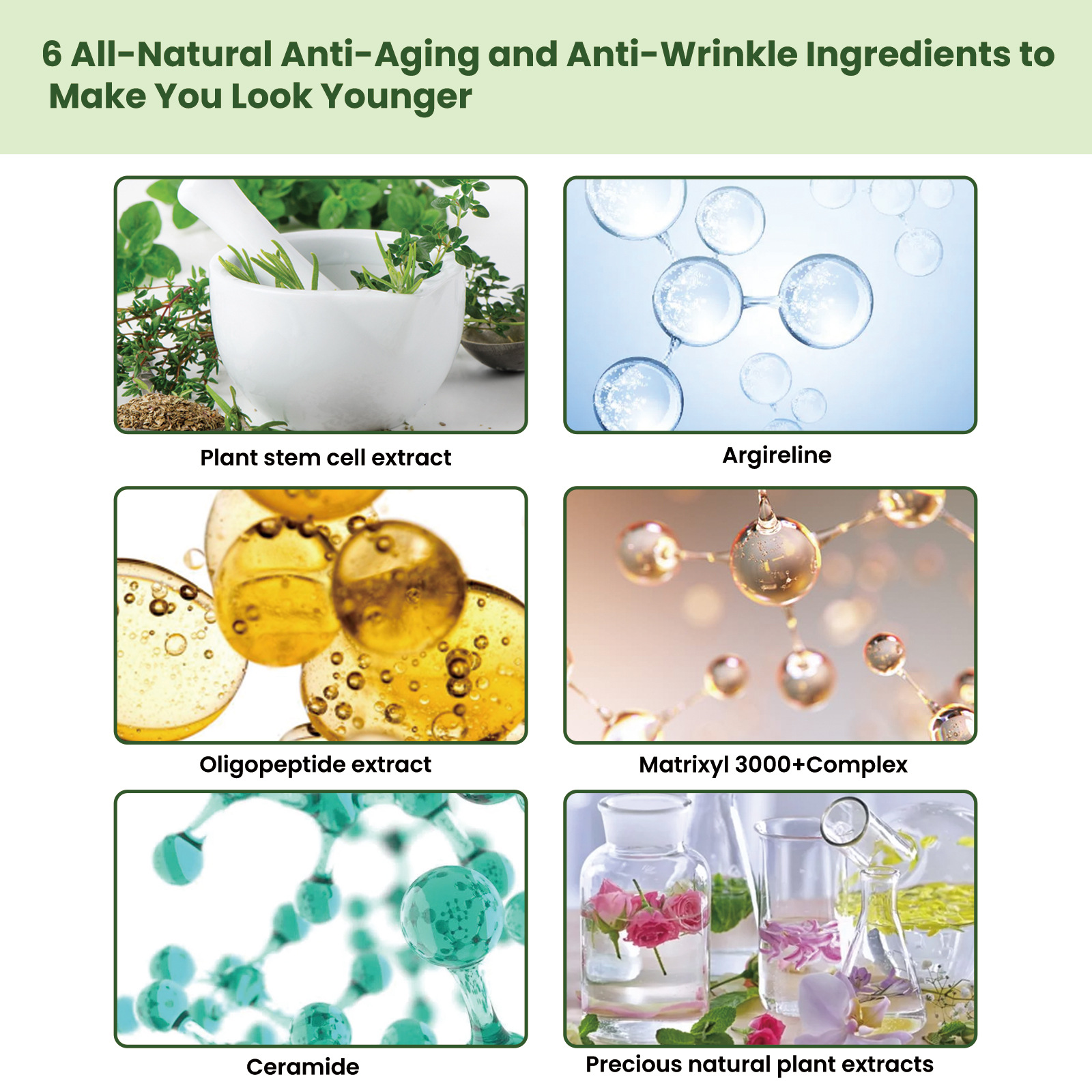 EELHOE Ceramide Firming nutre profundamente as rugas, hidrata e firma a essência da pele_voghion.com