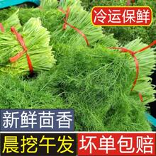 С��������r��ȝ�����������������r�߲���Ӱ��Ӹ��