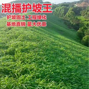 ��ƺ�����ļ���������ݸ���é���o�¹����ͺ����޼��ͲȾG���ݷN