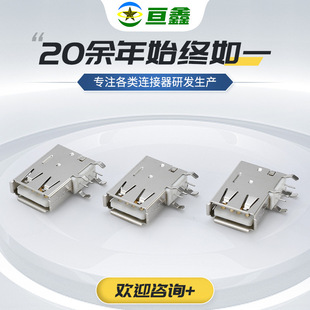USB�B�������l90�ȂȲ�ĸ������ʽ�F���~�����z������ȼ�OӋ���^