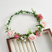 �¿�ɭϵ���ﻨ�h�l߼��к��s�L�鼆�������������B픰l��Ů