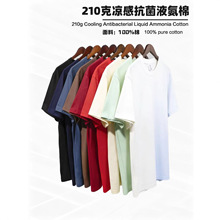 �ļ�210G���п�������Բ��T�������п��ɰٴɫ����������
