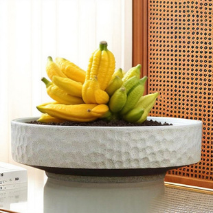 һ�����lˮ�໨���մ��~�X��˯ɏˮɏ������}�o�׷��֗U�辰���l