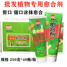 �������lֲ�����τ����TĤ�������ϸ���ɼ޽Ӽ������ϸ����z