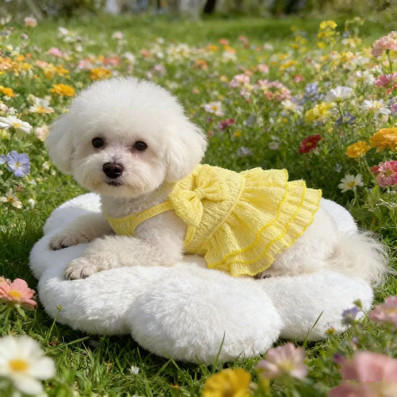 노란색 풀업 스커트