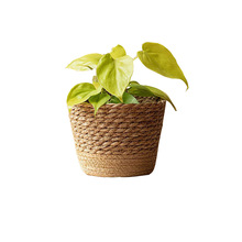 �Wʽ��Ȼ���ݾ��������پ�ֲ��Gֲ����Ҿ��b������@�ռ{��