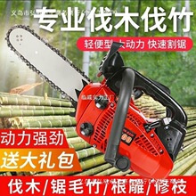 С�;��Я�ֳ����;ⷥľ��ë���12���;�С�ͼ���С�;�
