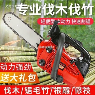 С��䏱�y�ֳ�����䏷�ľ�ë���12�����С�ͼ���С���