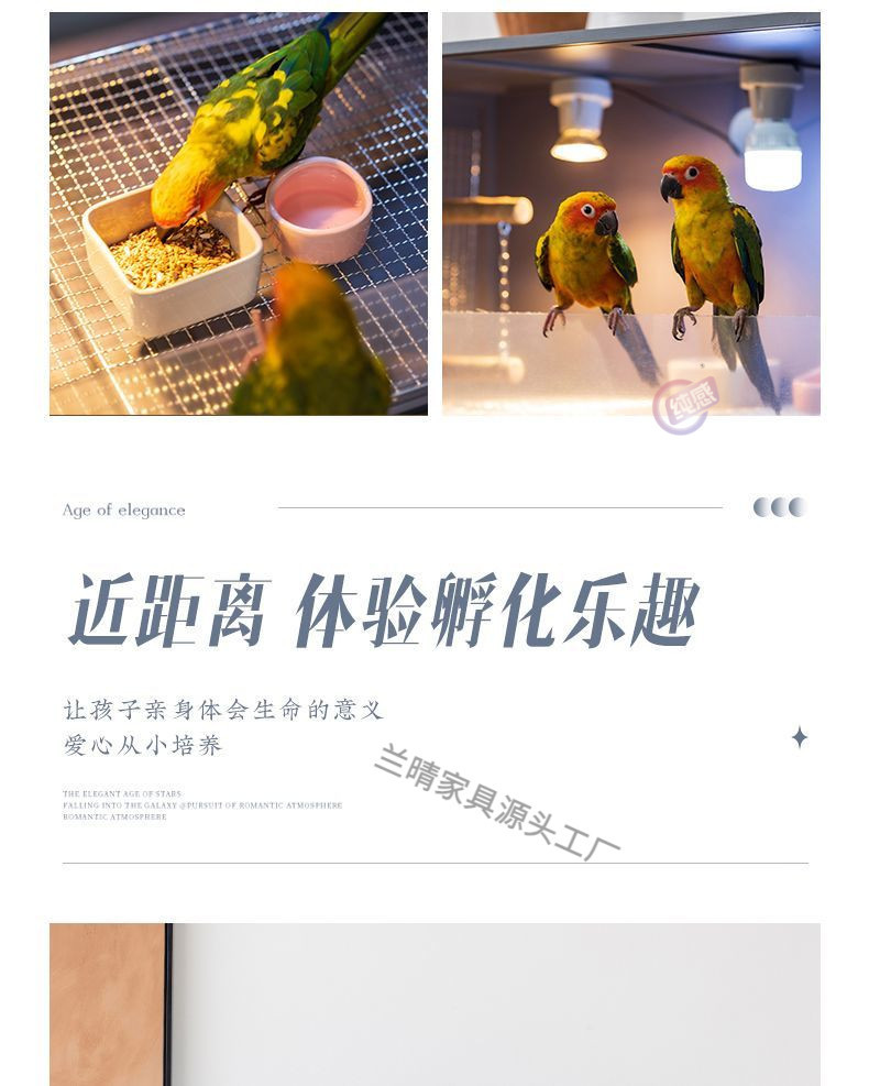 599cd719-0928-43a0-bc7f-c48cd1b56a21.jpe