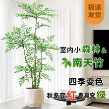 Կ͏dֲGֲ߼k҃ȸ߶ش̖辰