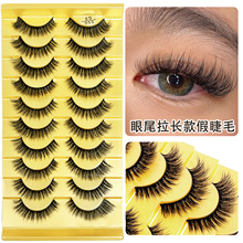 10���b�羳��ϵ�ٽ�ë��β���L���ܾ��N�Ͻ�ë���ڹ����Q����β
