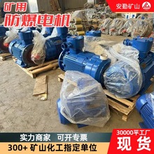 矿用隔爆电动机 供应YBX3隔爆型三相异步电机 YBX4矿用防爆电机