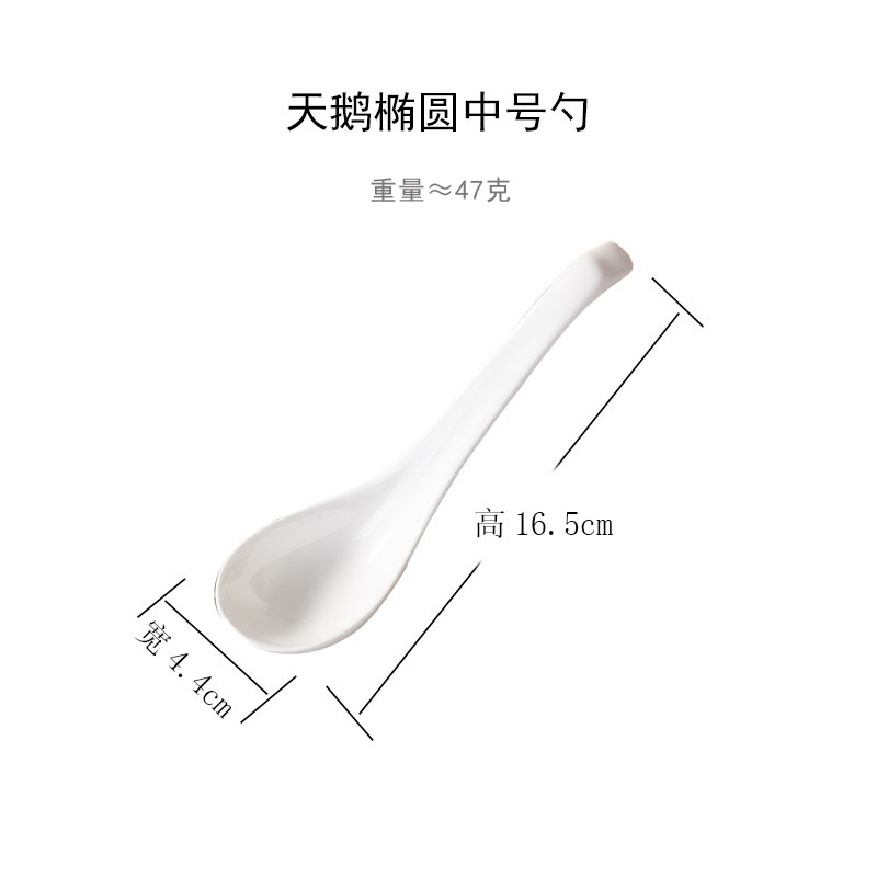 백조 타원형 중간