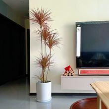 BֲرWWt߲FǧľinsL҃Կ͏dkҾGֲ