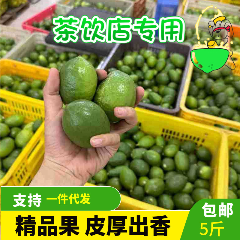Directly Supplied from the Place of Origin, Guangdong Fragrant Lemon, Hand-Picked Seedless Green Fresh Fruit of the First Grade, Specifically for Milk Tea Shops Directly Supplied from the Place of Origin, Guangdong Fragrant Lemon, Hand-Picked Seedless Green Fresh Fruit of the First Grade, Specifically for Milk Tea Shops
