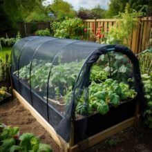 ����ѷ�羳����DIY����ͥԺ��԰�ز˻��������ó�������¶̨����