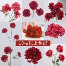 �Ƽtɫ����õ�����ܽ��ĵ�������ٺϷ��滨�Ҿӻ�c�����bٻ�