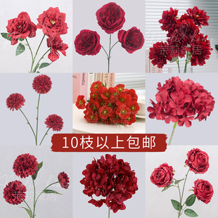 �Ƽtɫ����õ�����ܽ��ĵ�������ٺϷ��滨�Ҿӻ�c�����bٻ�