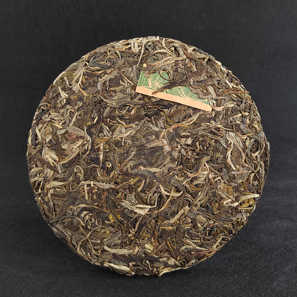 IMG_20220818_143746.jpg