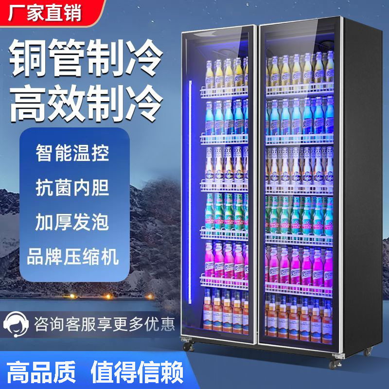 啤酒柜饮料柜酒水展示柜网红冰柜商用冰箱商用