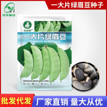 �Gü���N���͟�ü���N�ѾG�ⶹ�N�ݒ������Ѷ������߲��яS�����l