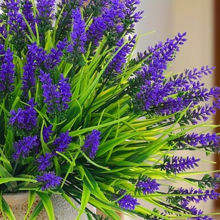 �羳���滨�b������Gֲ���޹�²����컨�Ҿӻ�c�b�����