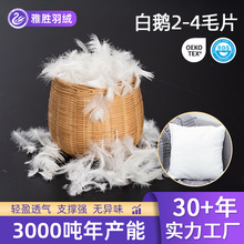标准白鹅2-4-6羽毛 白鹅毛片绒片沙发抱枕靠背枕羽绒原料填充物