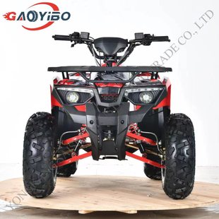 ATVSֱN125ccɳ܇ Ħ܇ ݆ԽҰ܇