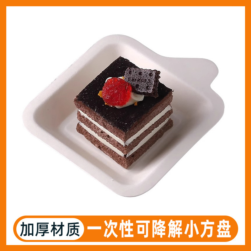Disposable Biodegradable Paper Plate Tableware Sugar Cane Pulp Rectangular Birthday Cake Plate Barbecue Party Serving Plate