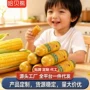 俄罗斯风味定制源头玉米肠