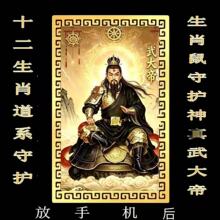 �����֙C��ʮ����Ф��ϵ�S���������o��ף���N����ٴ�ۿ�Ƭ