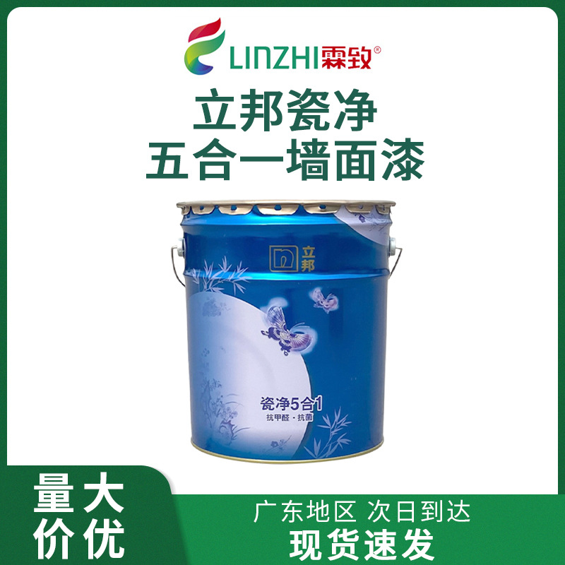 立邦瓷净五合一墙面漆 抗甲醛5合1内墙漆 家用室内乳胶漆厂家批发