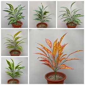 批发仿真把束花卉盆栽绿植虎皮兰阳台家居酒店装饰布置背景摆件