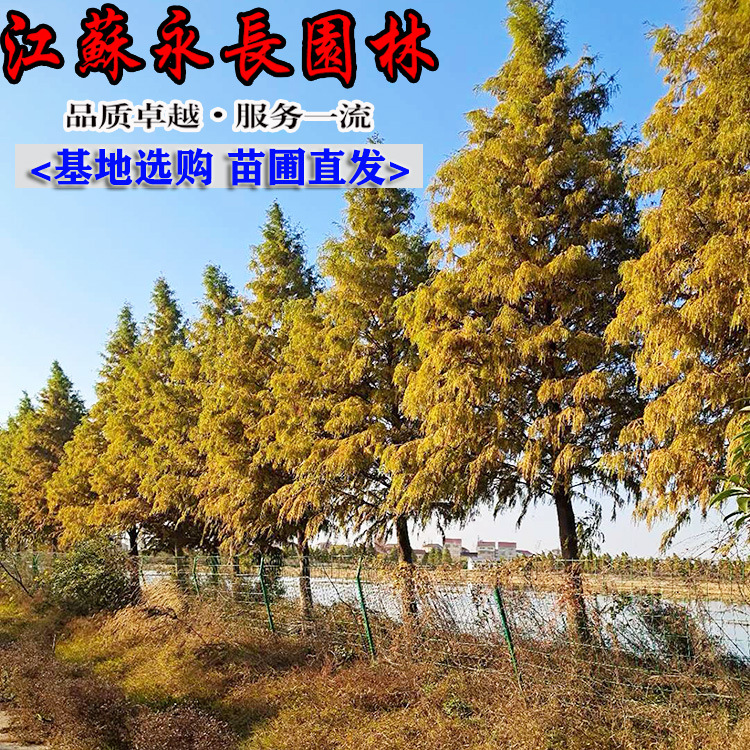 微信图片_202501120629