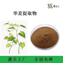 优铂汇 荜茇提取物  荜茇胡椒碱 荜茇冻干粉 荜茇提取液